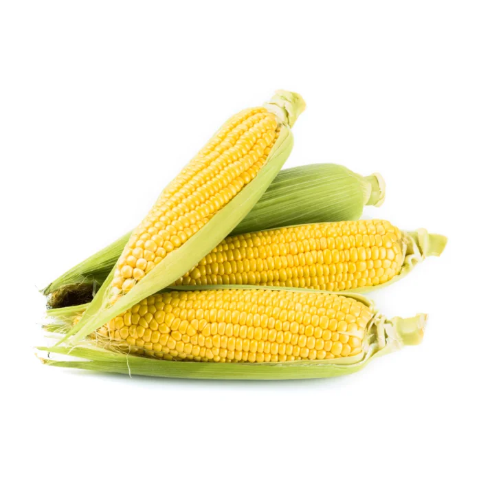 Corn Organic