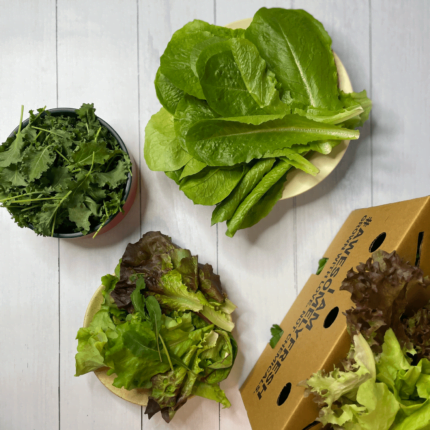 Salad-Greens-Mini-Box