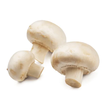Button-Mushroom-Organic