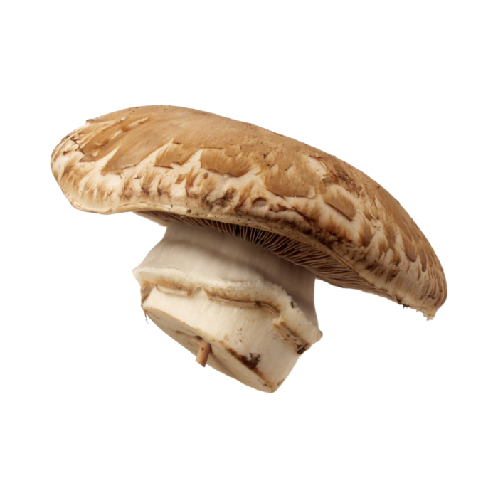 Portobello Mushroom Organic