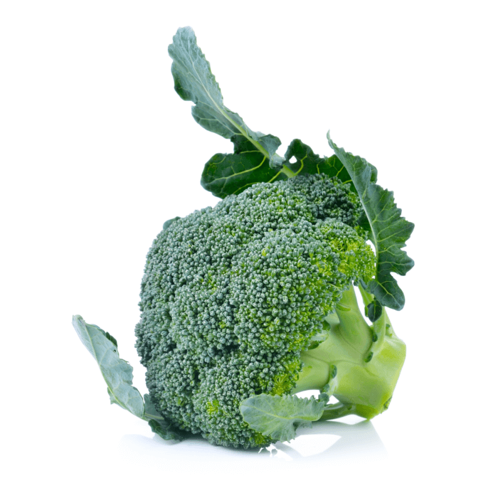 Broccoli Organic