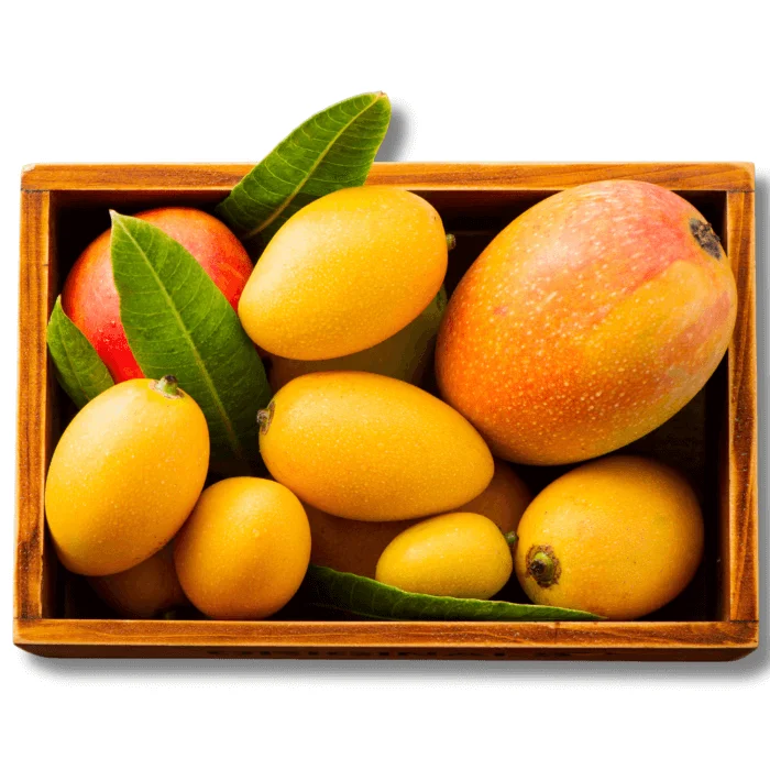 Mango Medley