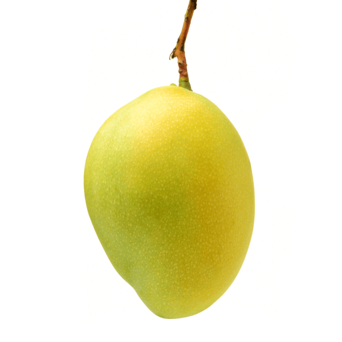 Amrapali Mango Organic