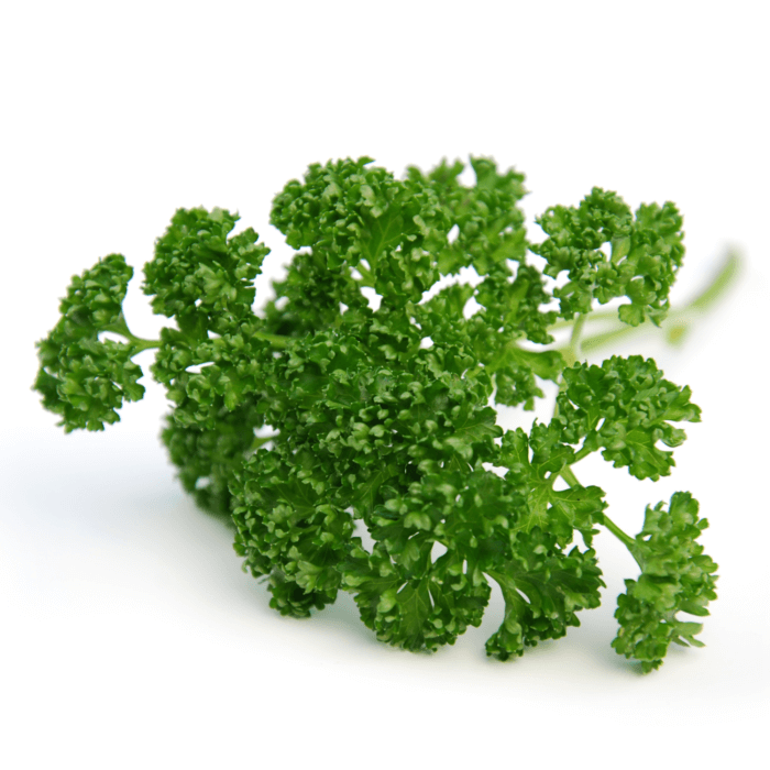 Curly Parsley Organic