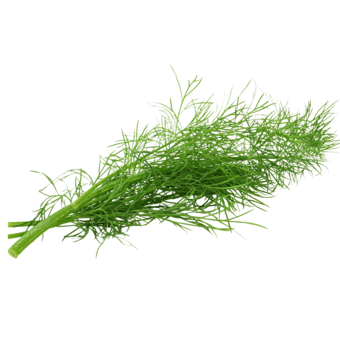 Dill Leaves Organic